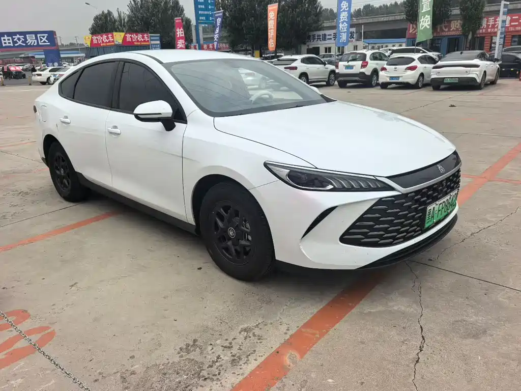 BYD Qin PLUS 2025 — фото 3