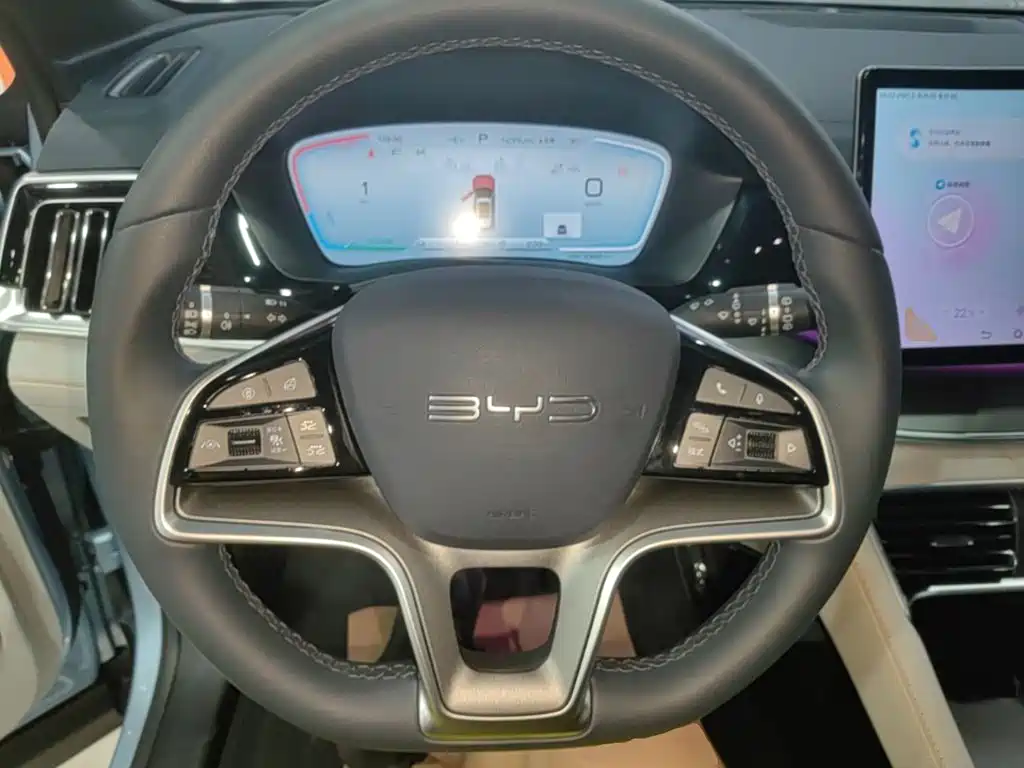 BYD Song PLUS New Energy 2024 — фото 11