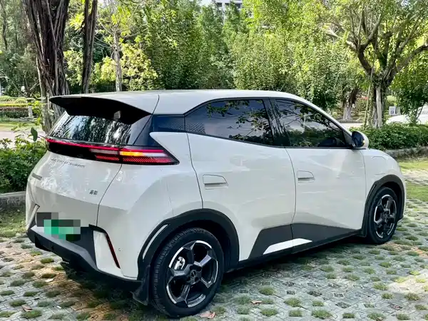 BYD Seagull 2024