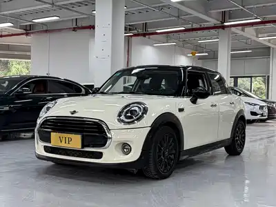 MINI MINI 2018