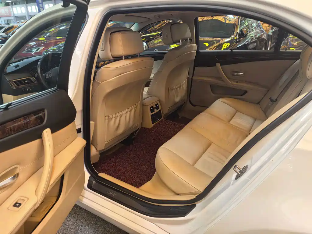 BMW 5 Series 2010