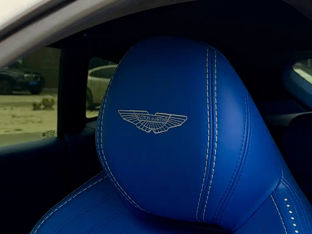 Aston Martin DBX 2021 — фото 15