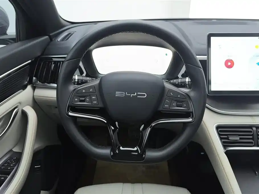 BYD PLUS New Energy 2024 — фото 15