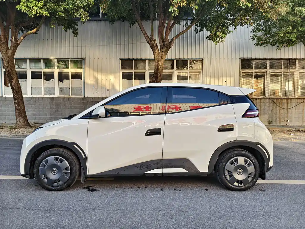 BYD Seagull 2024