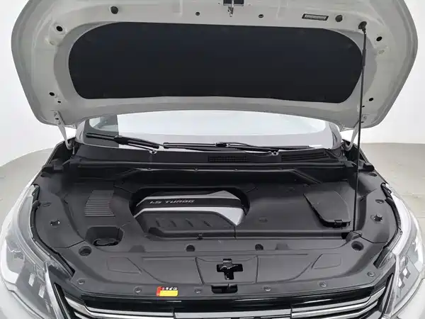 Maxus G50 2019
