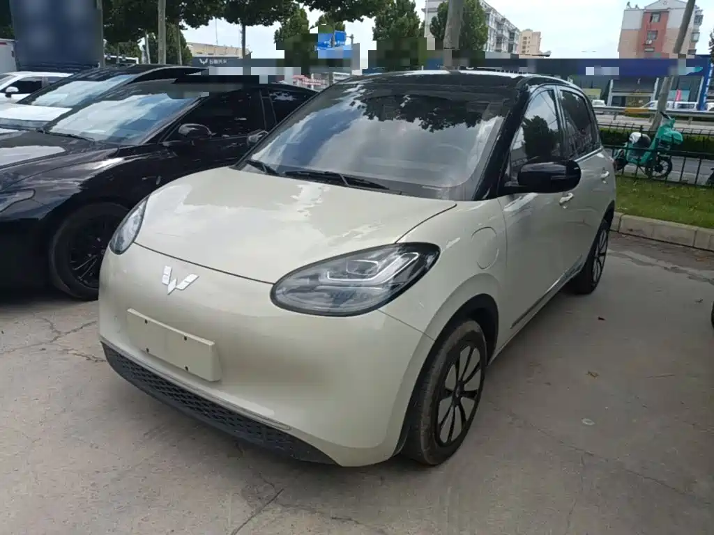 Wuling Bingo 2024