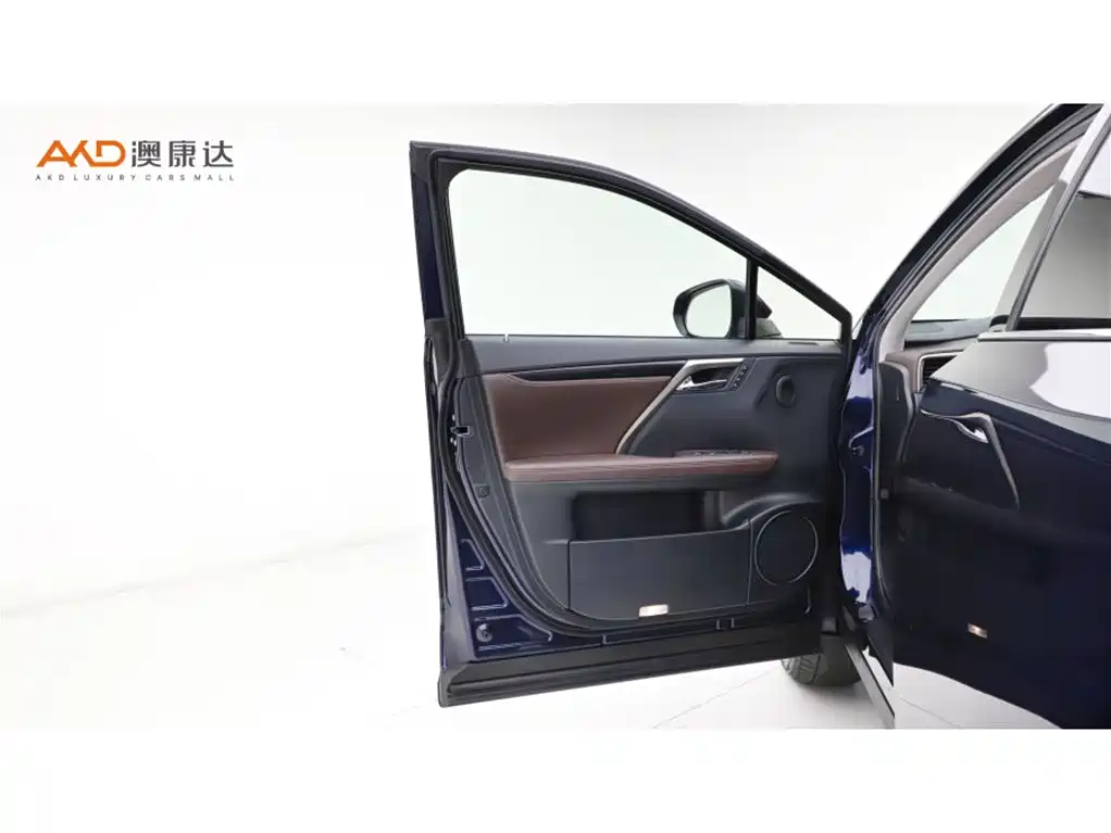 Lexus RX 2021 — фото 10