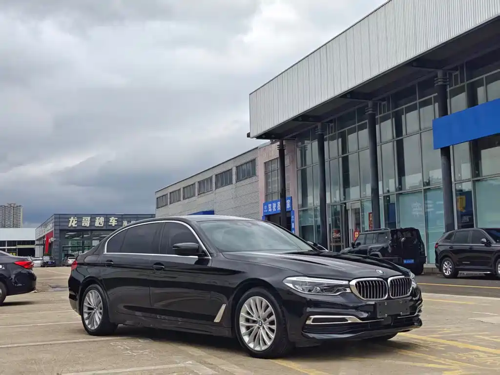 BMW 5 Series New Energy 2019