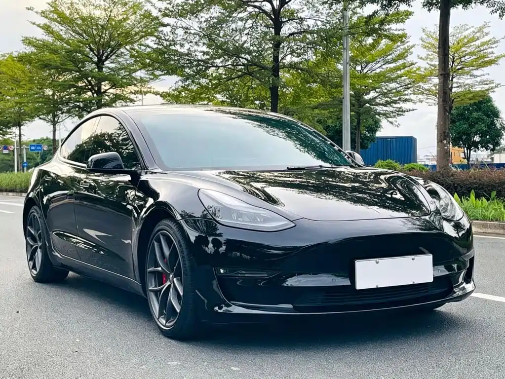 Tesla Model 3 2021 — фото 3