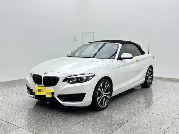 BMW 2 Series 2019