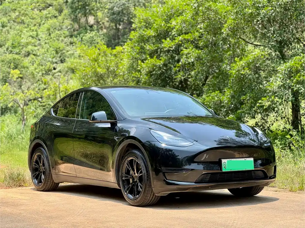 Tesla Model Y 2024 — фото 3