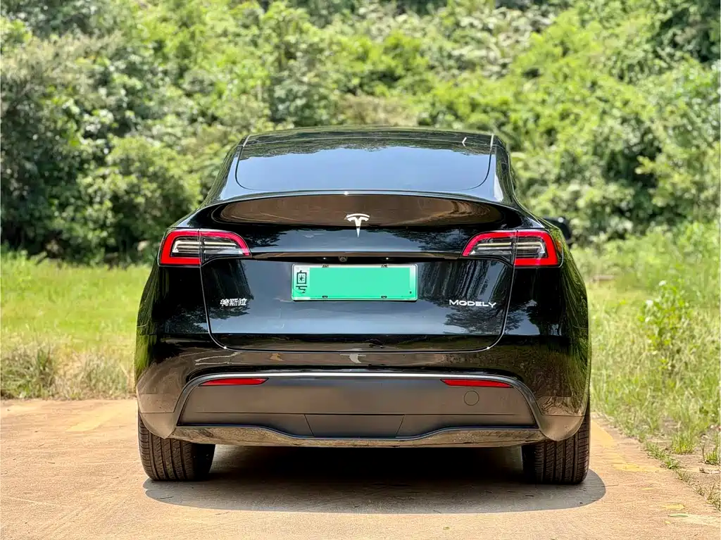 Tesla Model Y 2024 — фото 5