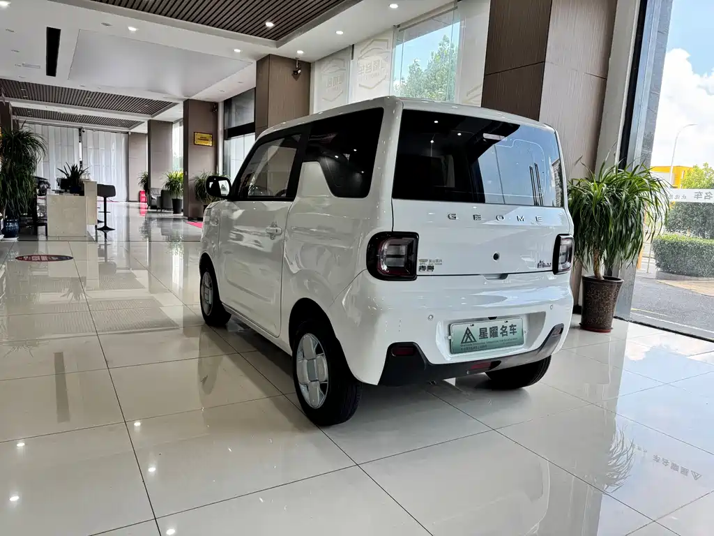 Geely Galaxy Panda 2024 — фото 6