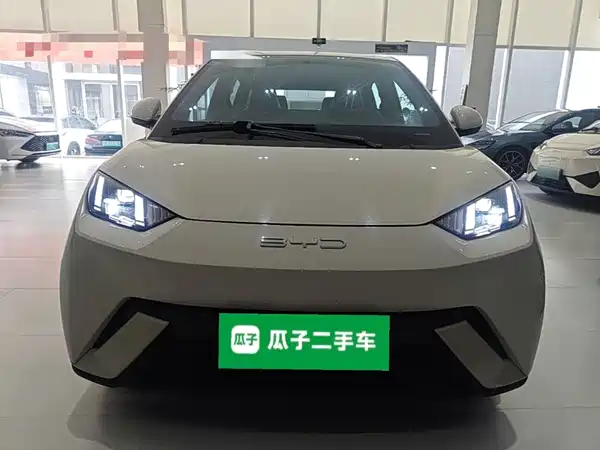 BYD Seagull 2024