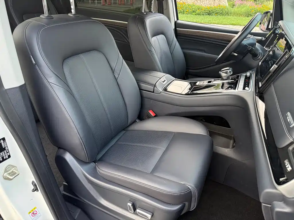 GAC Motor Trumpchi M8 2021 — фото 12
