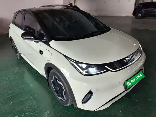 BYD Dolphin 2025
