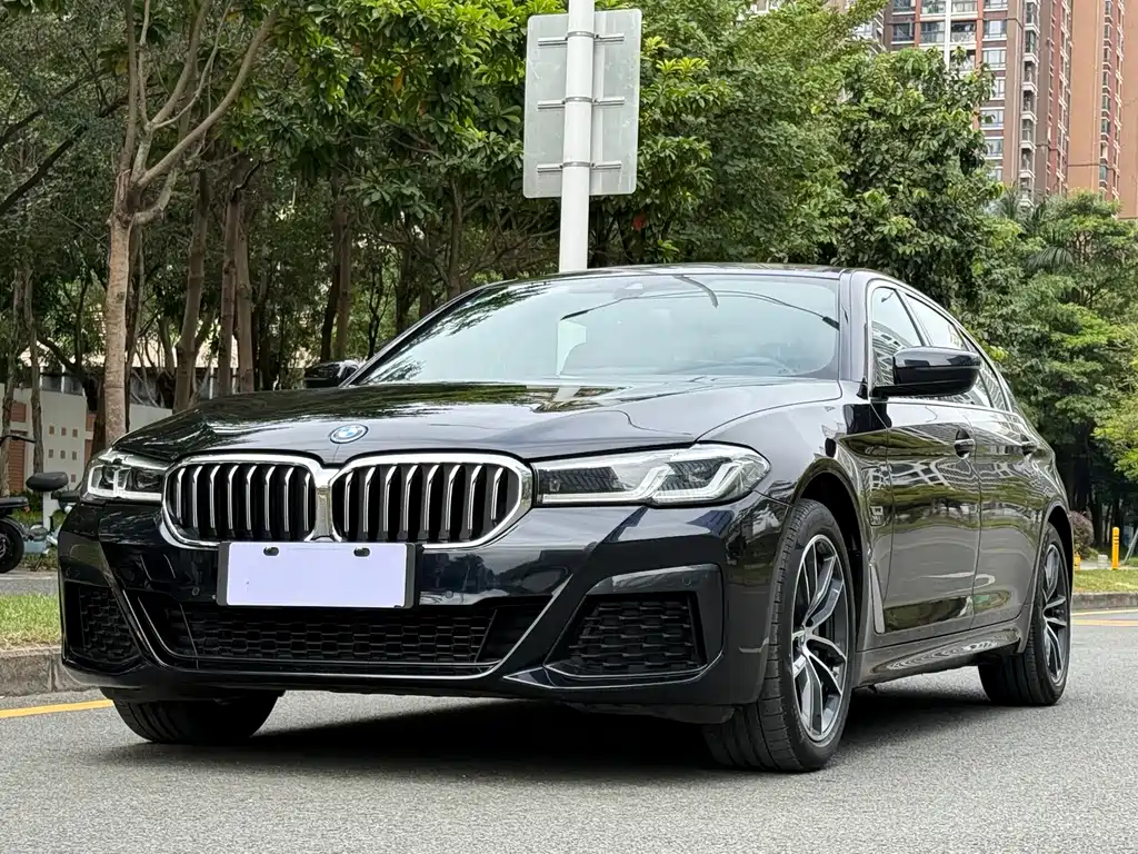 BMW 5 Series New Energy 2023 — фото 1