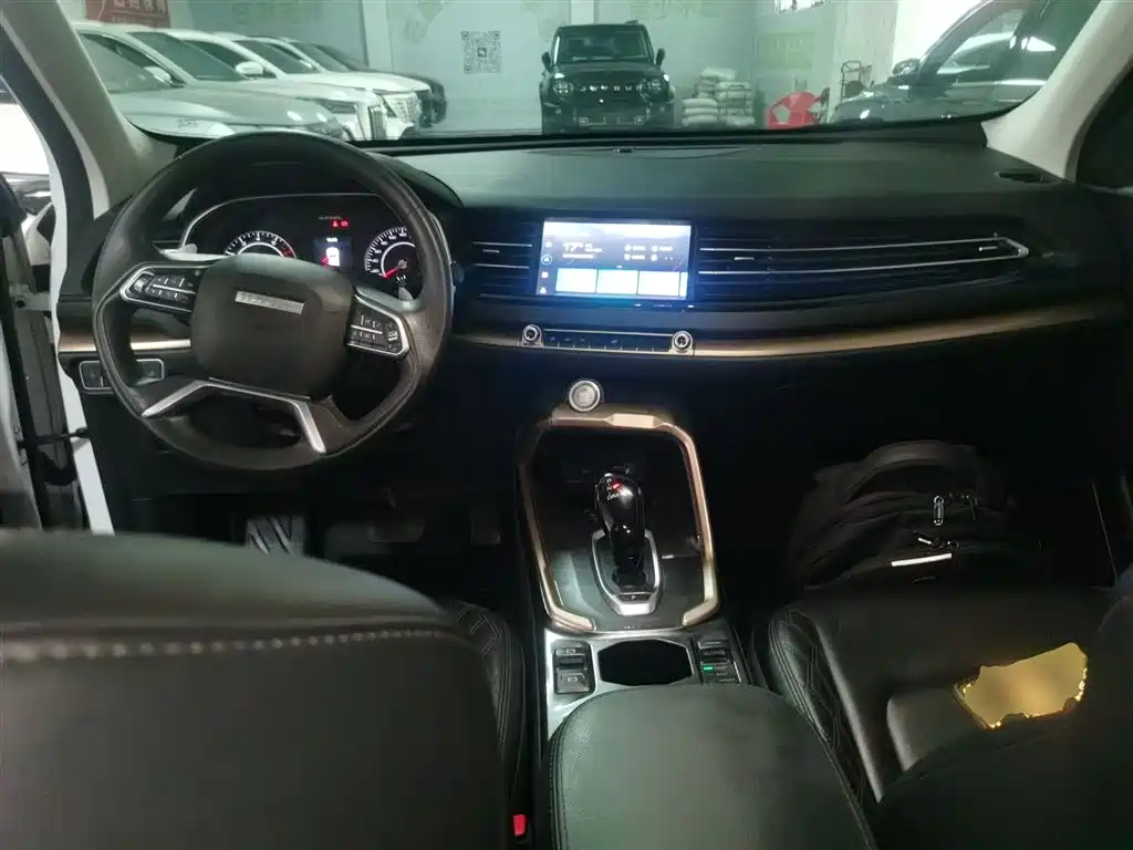Haval H6 2021 — фото 10