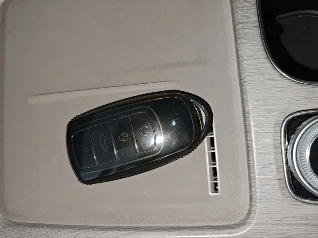 Chery Tiggo 8 PLUS C-DM 2024 — фото 9