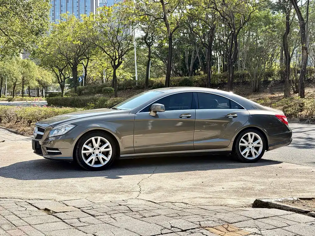 Mercedes-Benz CLS 2014 — фото 1