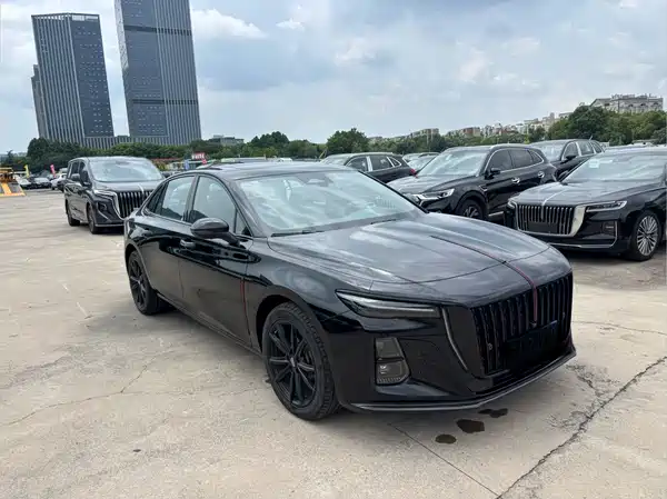 Hongqi H5 2024