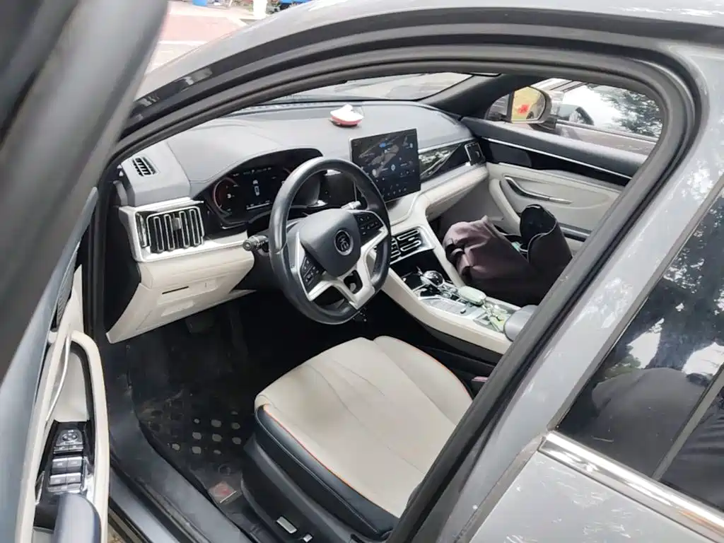 BYD Song PLUS New Energy 2022 — фото 16