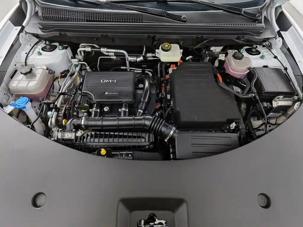 BYD Song Pro New Energy 2025 — фото 6
