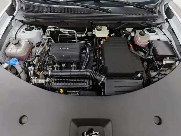 BYD Song Pro New Energy 2025