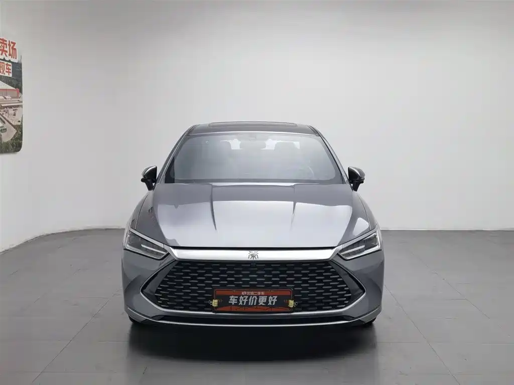 BYD Qin PLUS 2023 — фото 3