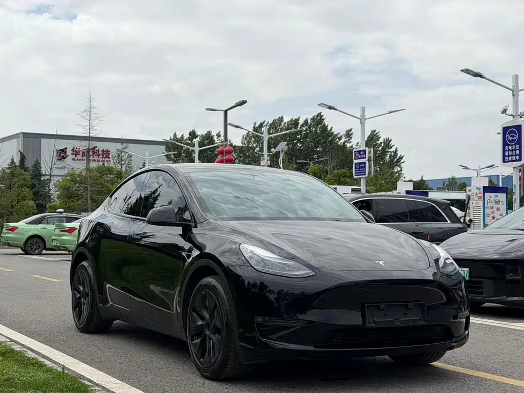 Tesla Model Y 2024 — фото 3