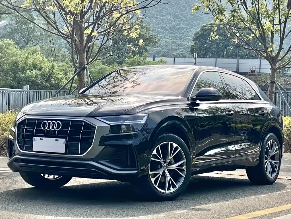 Audi Q8 2021 — фото 1