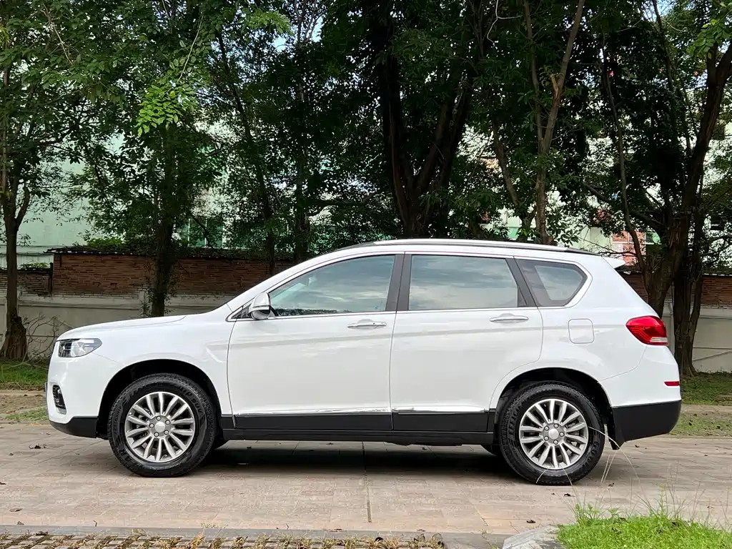 Haval H6 2019 — фото 8