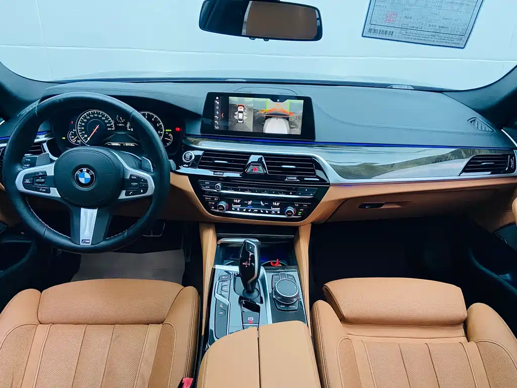 BMW 5 Series 2017 — фото 16