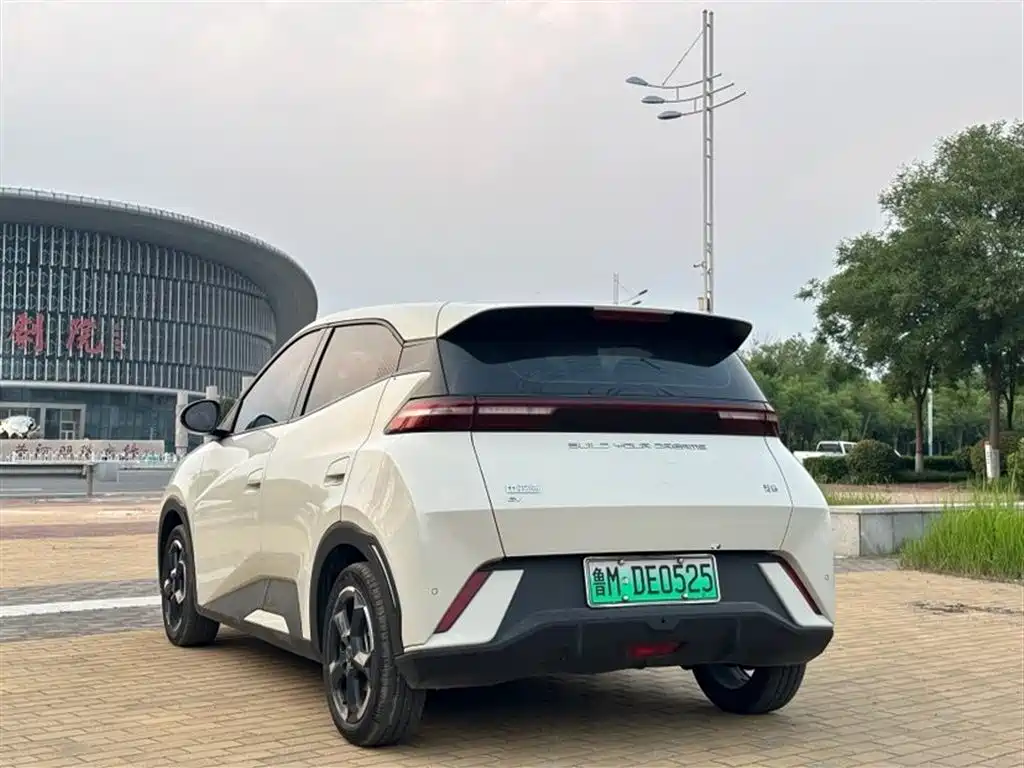 BYD Seagull 2024