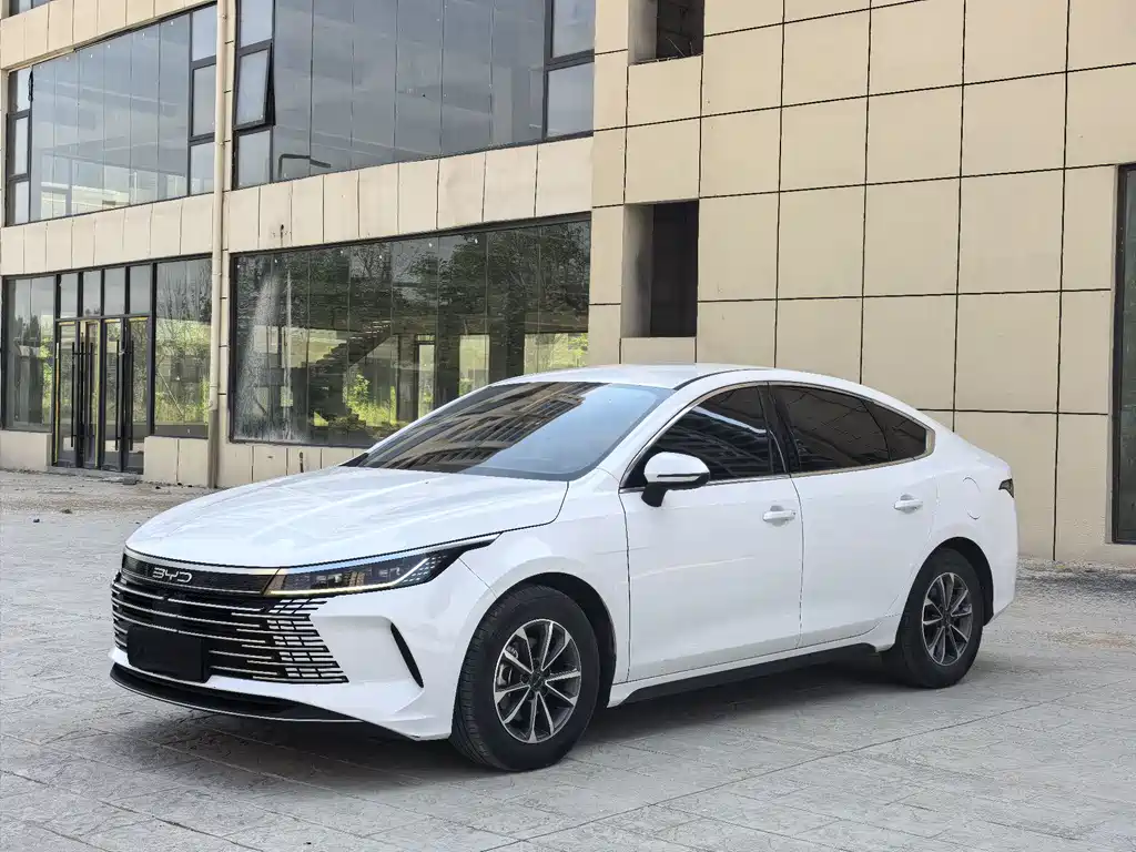 BYD Destroyer 05 2025 — фото 1