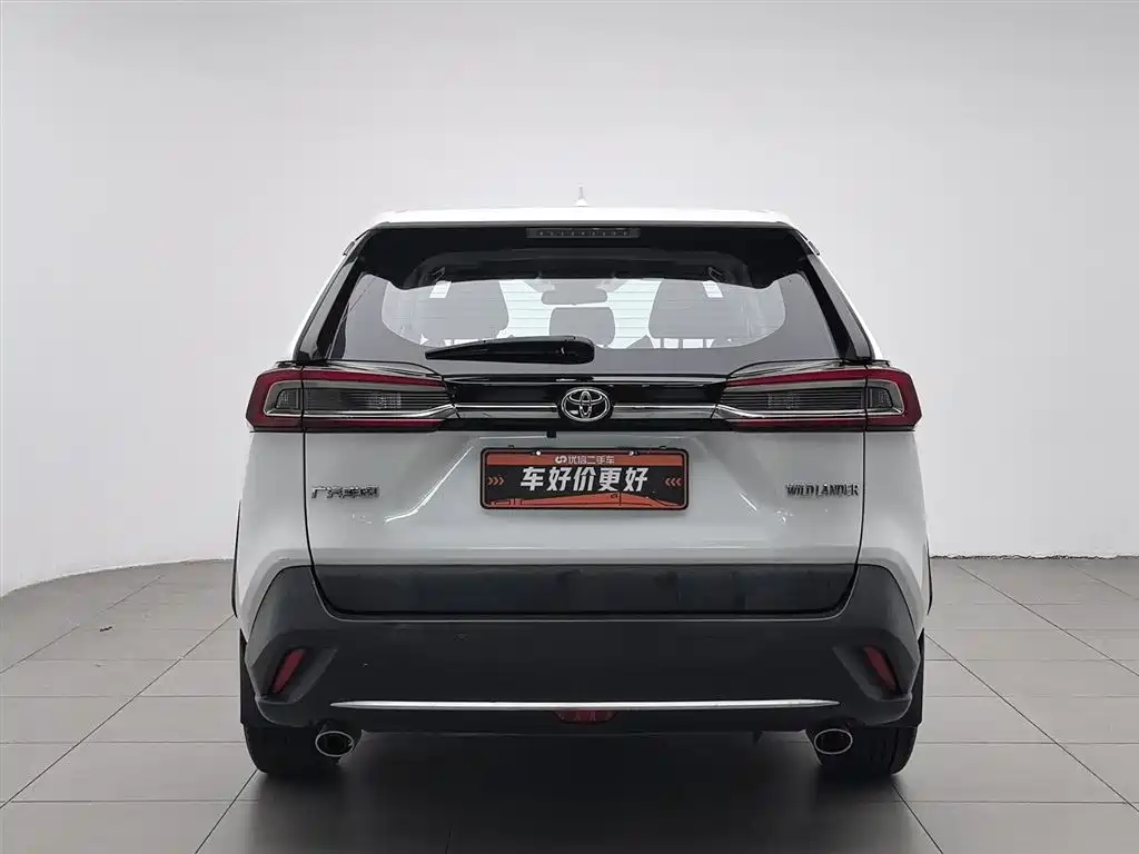 Toyota Wildlander 2020