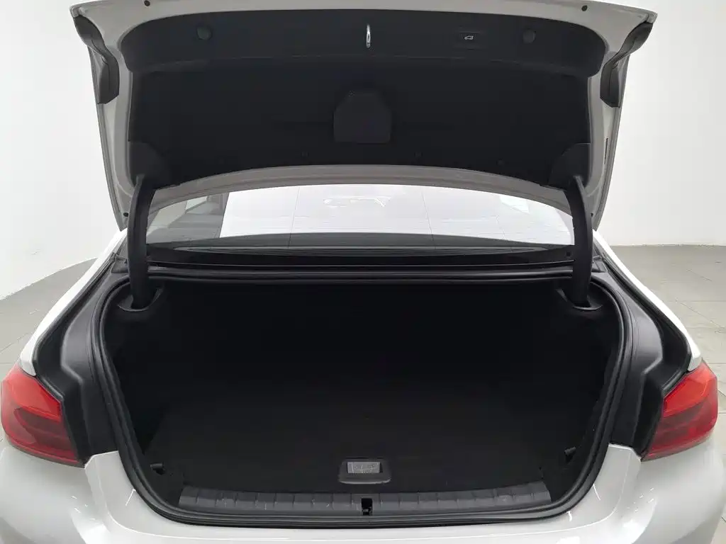BMW 5 Series New Energy 2020 — фото 16