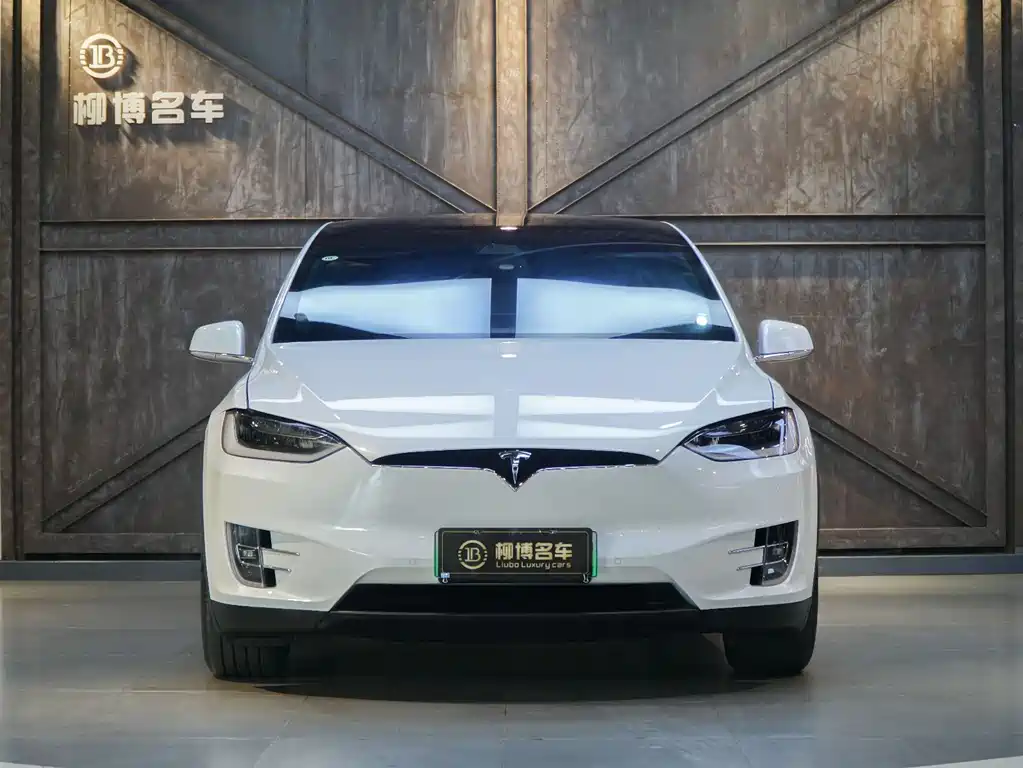 Tesla Model X 2016 — фото 3
