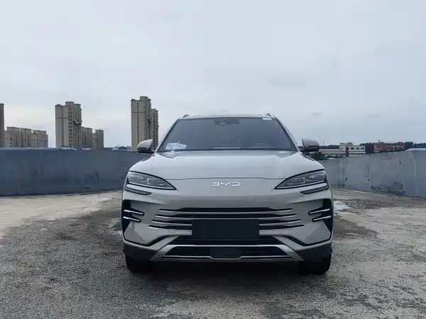 BYD Song PLUS New Energy 2024