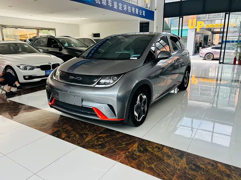 BYD Dolphin 2022