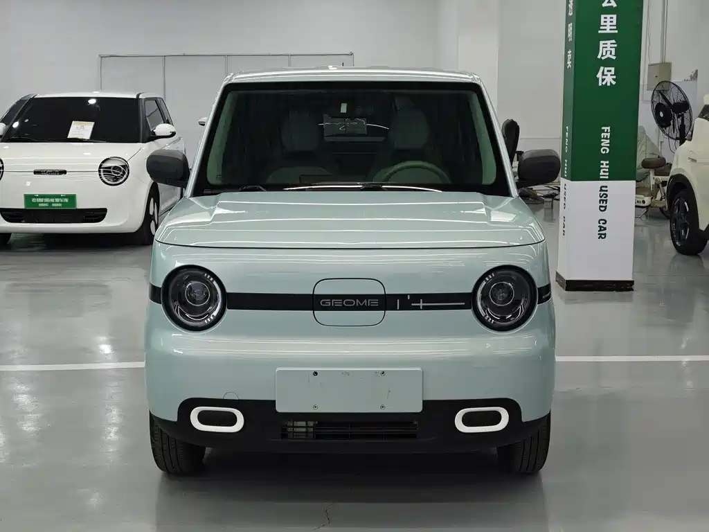 Galaxy Panda 2025