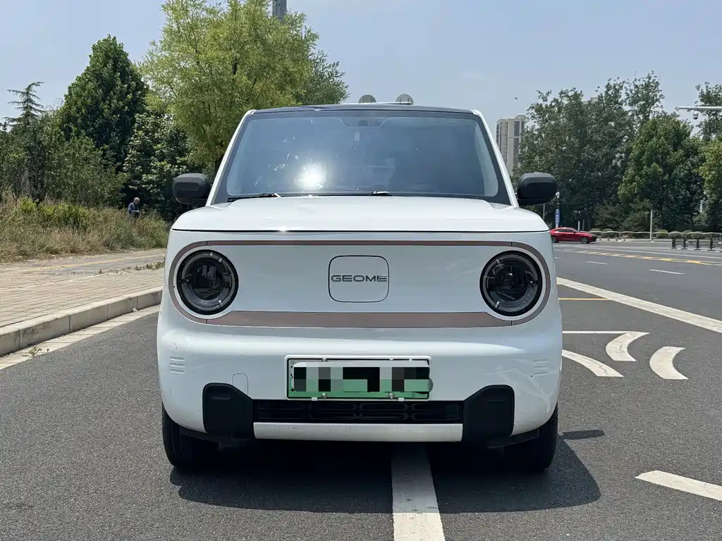 Galaxy Panda 2024