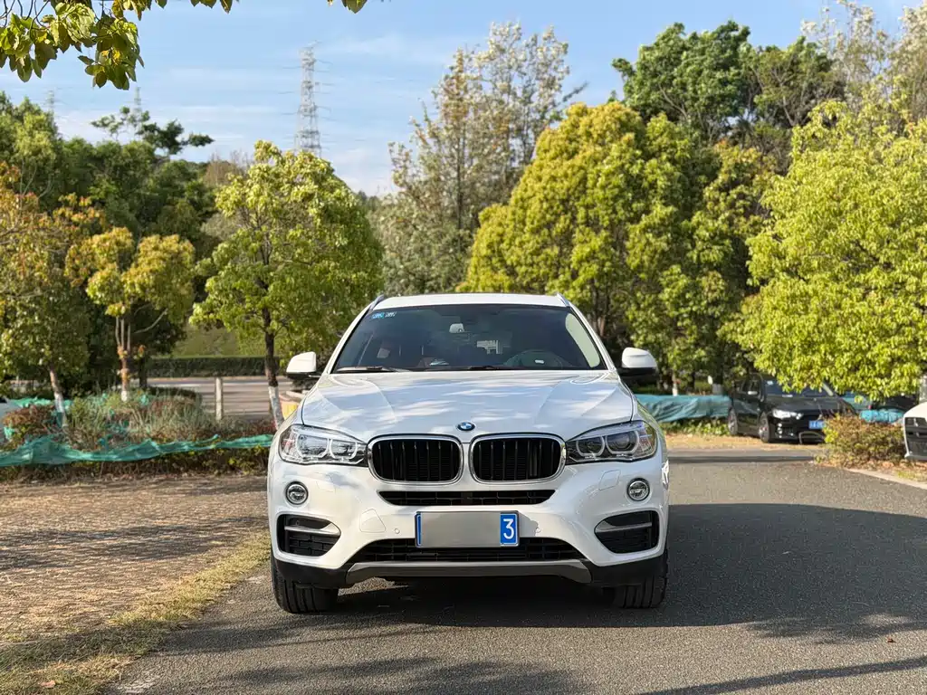BMW X6 2017 — фото 2