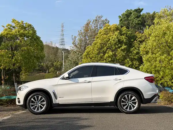 BMW X6 2015