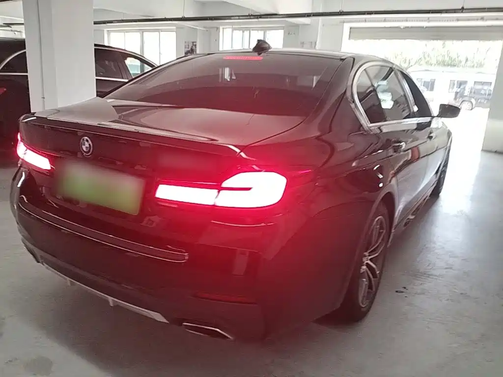 BMW 5 Series New Energy 2021