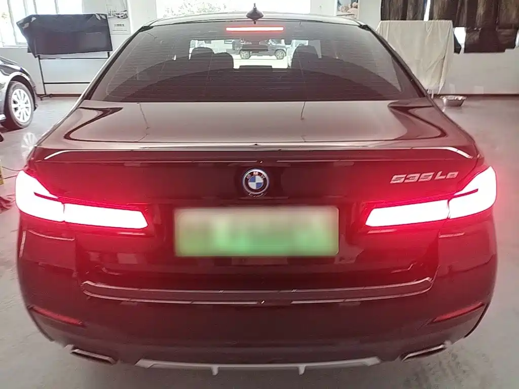 BMW 5 Series New Energy 2021