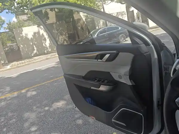 WM Motor EX5 2019