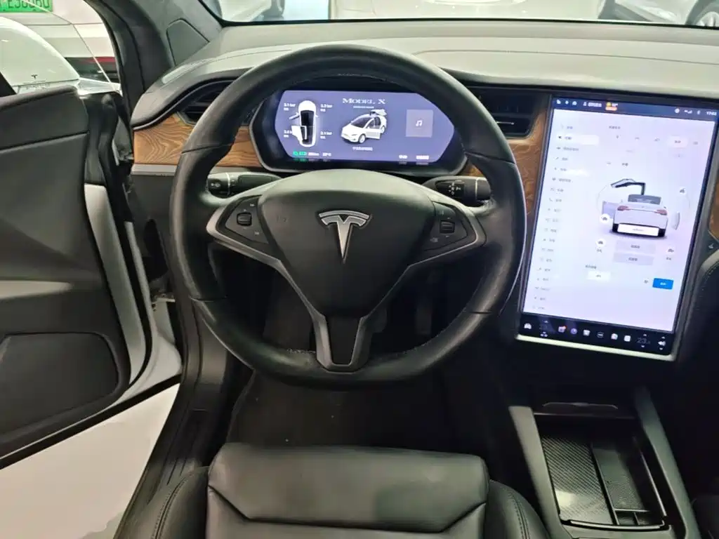 Tesla Model X 2019 — фото 7