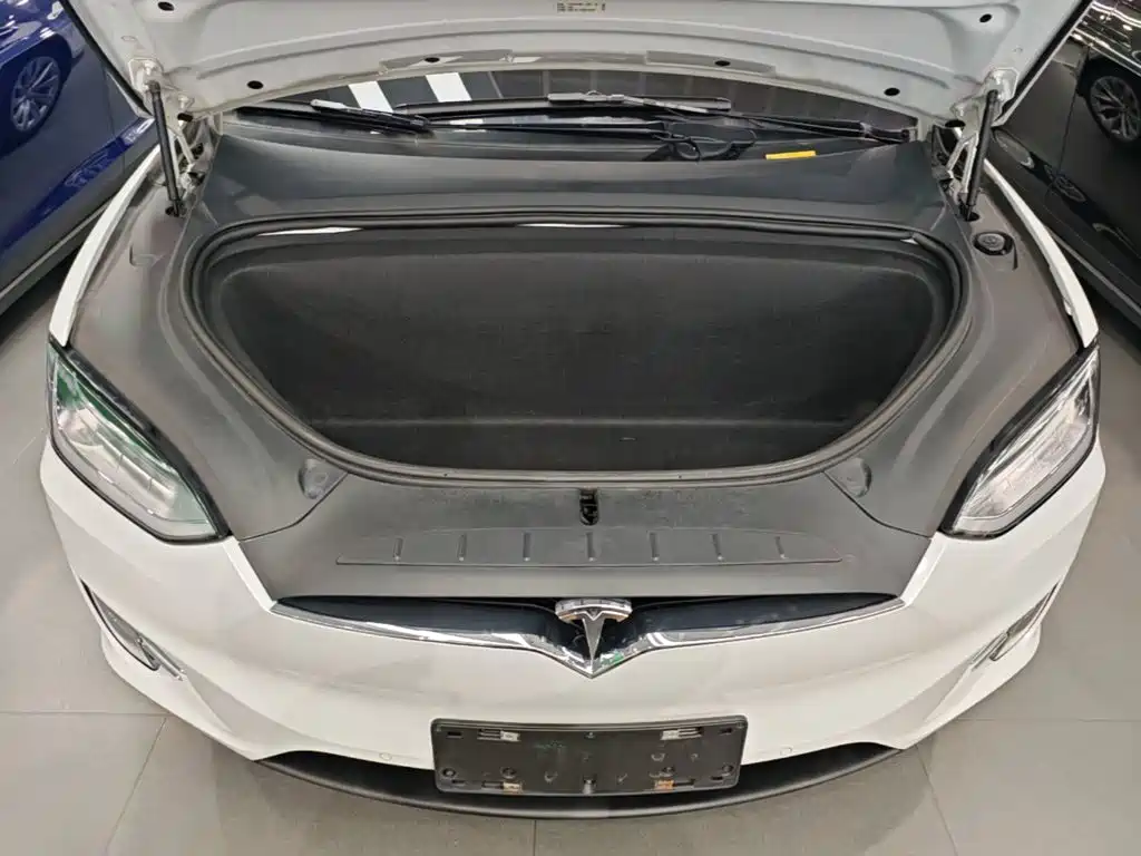 Tesla Model X 2019 — фото 16