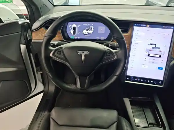 Tesla Model X 2019
